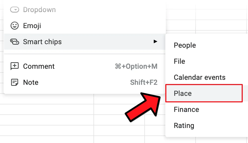 Menu option to insert a Place chip